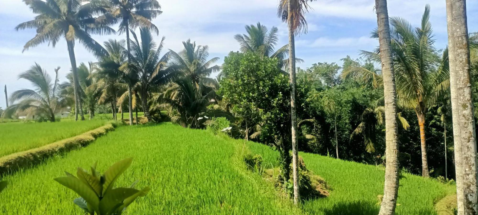 Ferienwohnung Lingkung Park Tetebatu Exterior foto